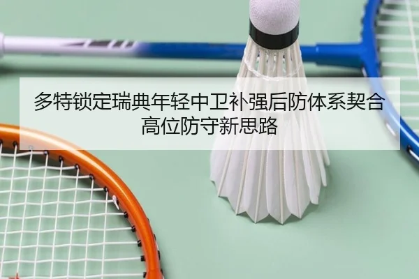 多特锁定瑞典年轻中卫补强后防体系契合高位防守新思路